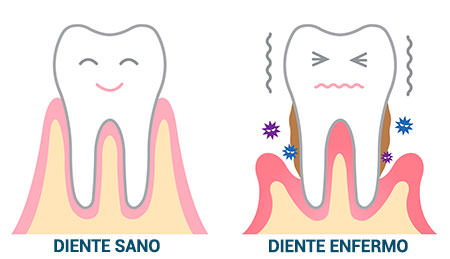 🦷Cuándo y cómo cepillar los Dientes a tu Bebé: pasta dental, prevención de  la caries en niños 